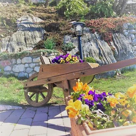 La Casa Nel Bosco Malcesine